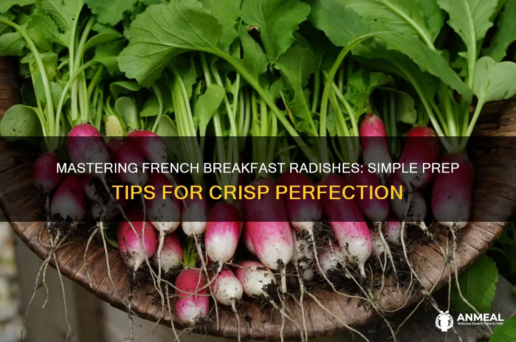 how to prepare french breakfast radishes
