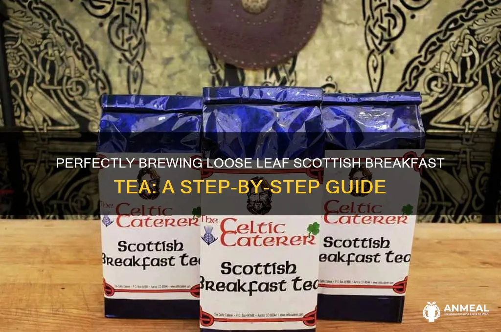 how to prepare loose leaf scottish breakfast tea