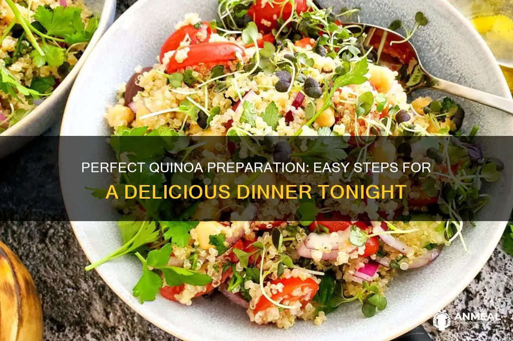 how to prepare quinoa for dinner