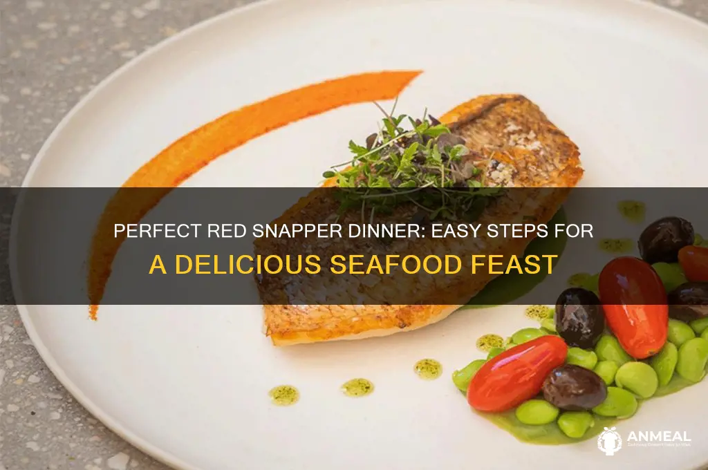 how to prepare red snapper fish dinner
