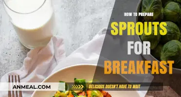 Quick & Healthy Sprouts Breakfast Prep: Simple Morning Recipes
