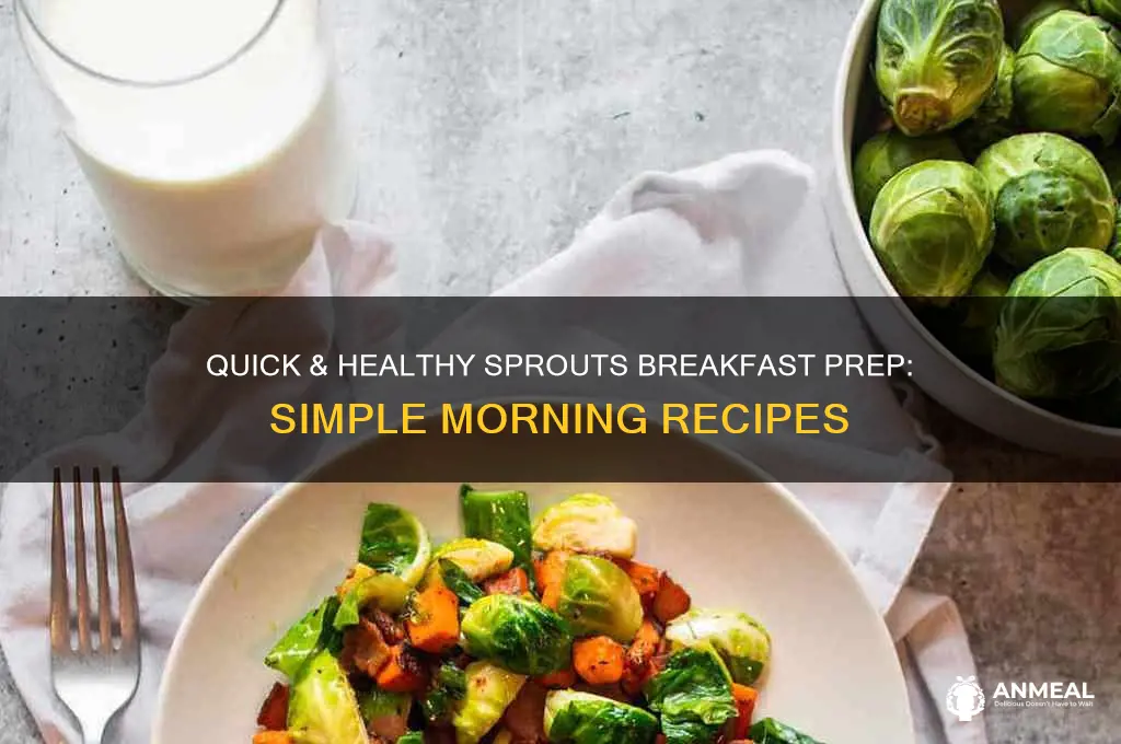 how to prepare sprouts for breakfast