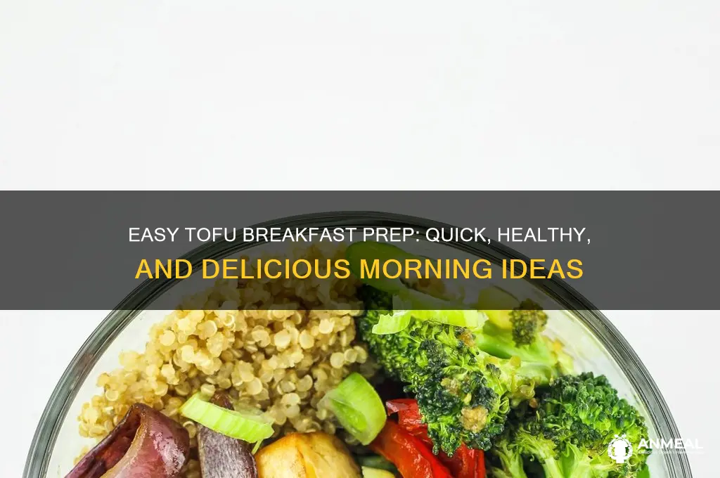 how to prepare tofu for breakfast
