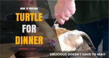 Preparing Turtles for Dinner: A Step-by-Step Culinary Guide