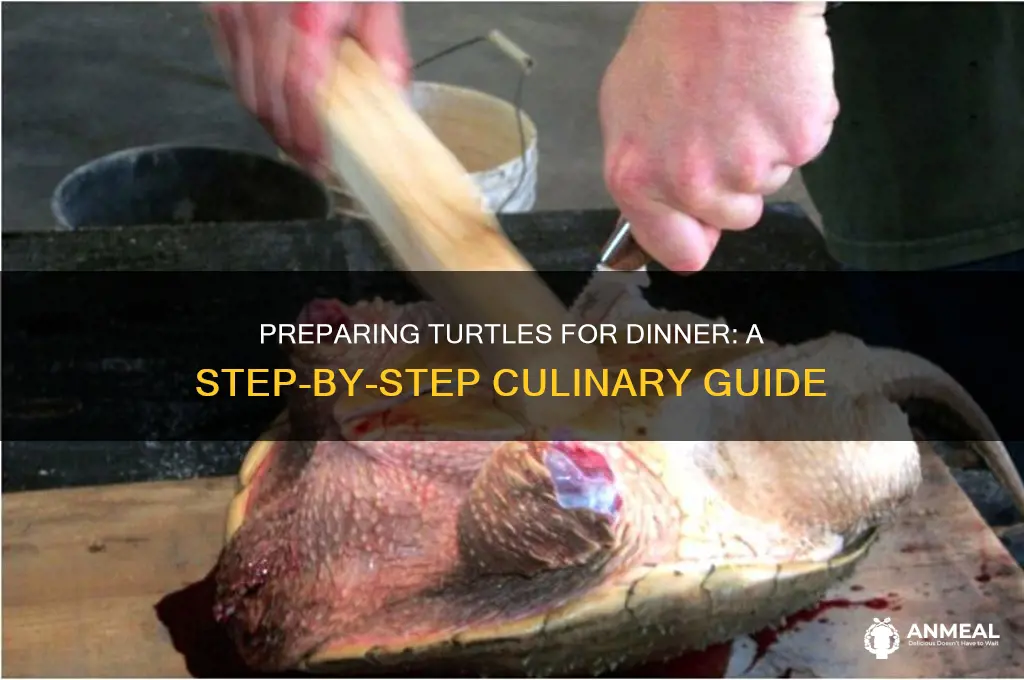 how to prepare turtle for dinner