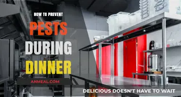 Keep Pests Away: Tips for a Pest-Free Dinner Experience