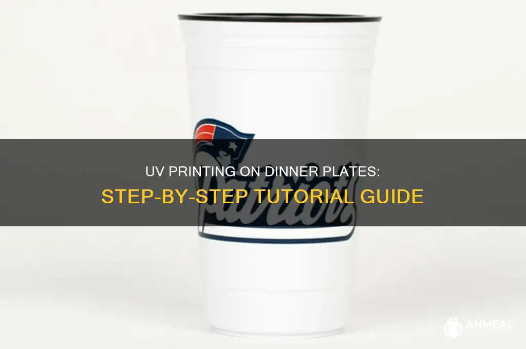 how to print on dinner plates with uv printer tutorials