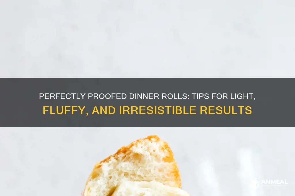 how to proof dinner rolls