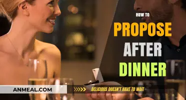Romantic Post-Dinner Proposal Guide: Timing, Tips, and Perfect Execution