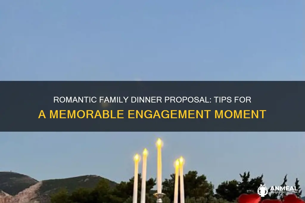 how to propose at a family dinner