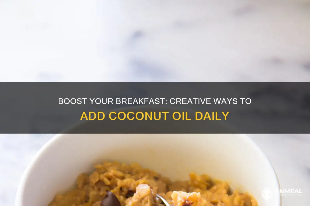 how to put coconut oil in my breakfast