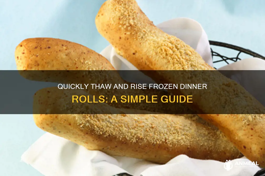 how to quick rise frozen dinner rolls