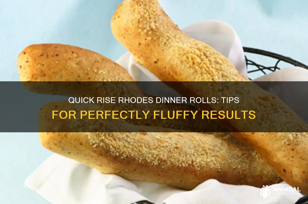 how to quick rise rhodes dinner rolls