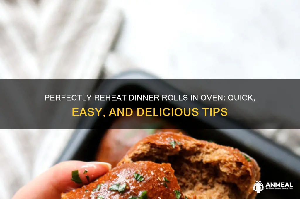 how to reheat dinner rolls in oven