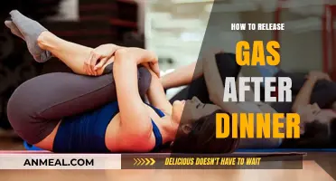 Post-Dinner Comfort: Simple Tips to Release Gas and Ease Bloating