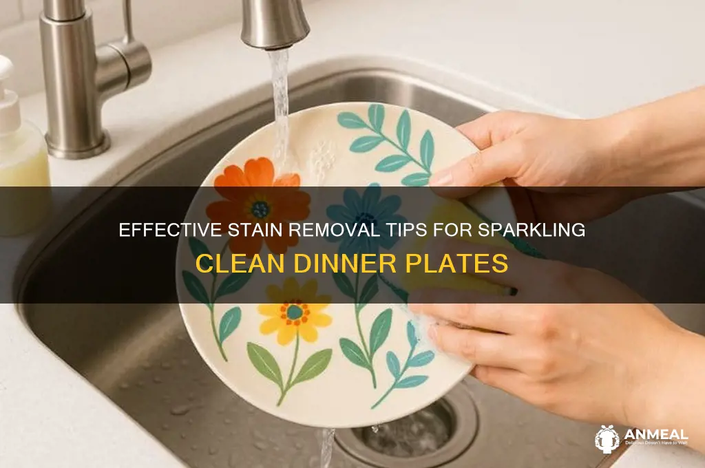 how to remove stains from dinner plates