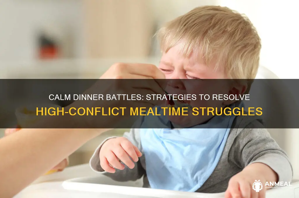 how to resolve high conflict with children about dinner