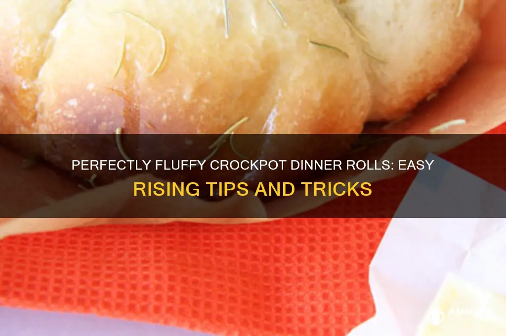 how to rise dinner rolls in a crockpot