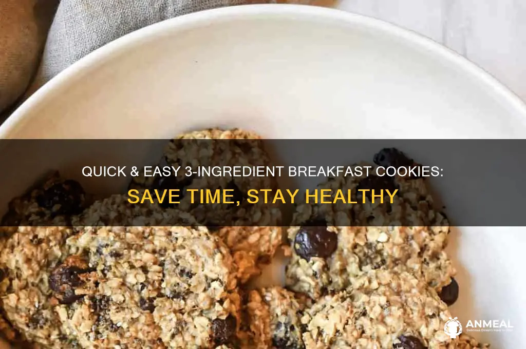 how to save 3 ingredient breakfast cookies