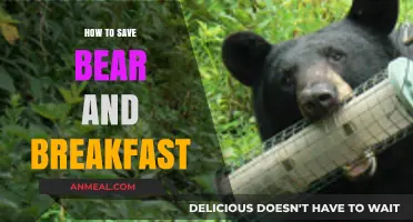 Saving Bears and Breakfast: Sustainable Tips for Coexistence and Conservation