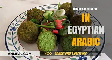 Mastering Egyptian Arabic: How to Say Breakfast Like a Local