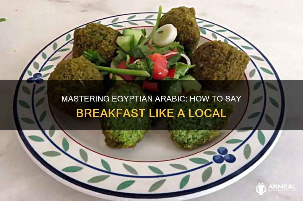 how to say breakfast in egyptian arabic