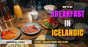 Discovering Icelandic: How to Say Breakfast in Iceland’s Native Language
