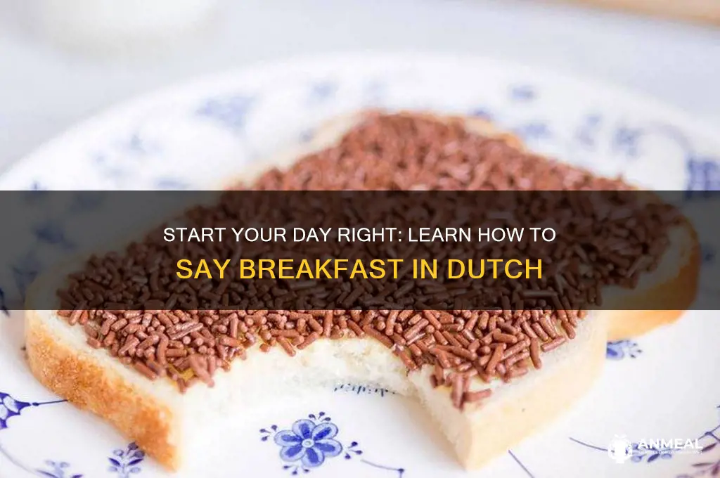 how to say breakfast in neatherland
