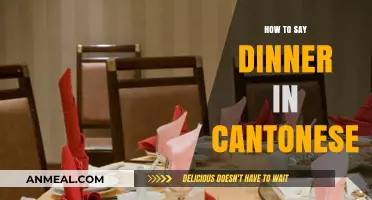 Mastering Cantonese: How to Say 'Dinner' Like a Local