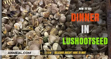 Discovering Lushootseed: How to Say 'Dinner' in the Indigenous Language