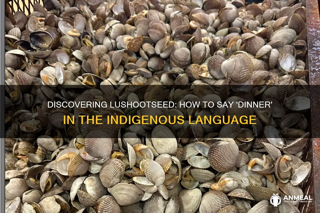 how to say dinner in lushootseed