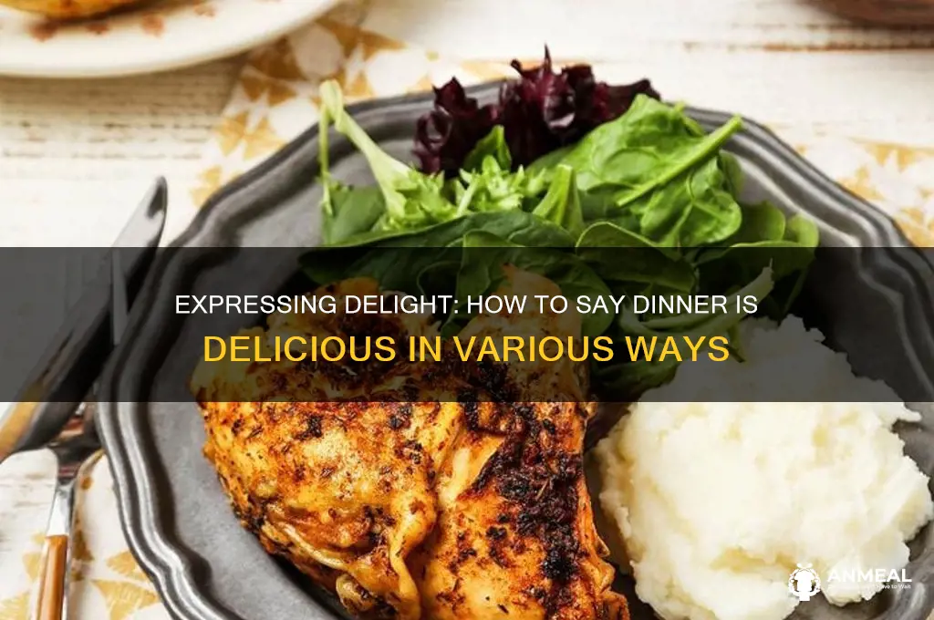 how to say dinner is delicious