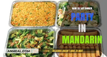 Mastering Mandarin: How to Say Dinner Party in Chinese