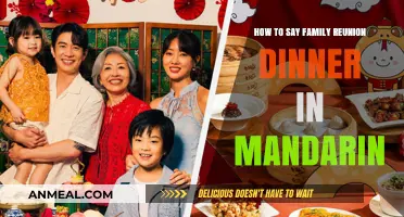 Family Reunion Dinner in Mandarin: A Guide to Saying It Right