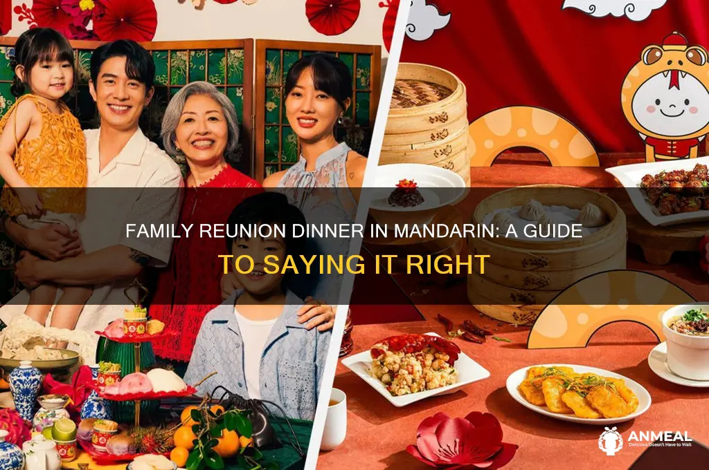 how to say family reunion dinner in mandarin