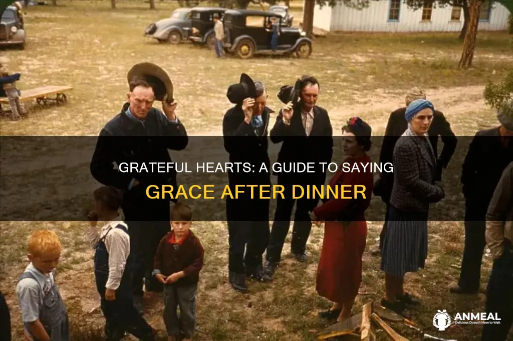 how to say grace after dinner