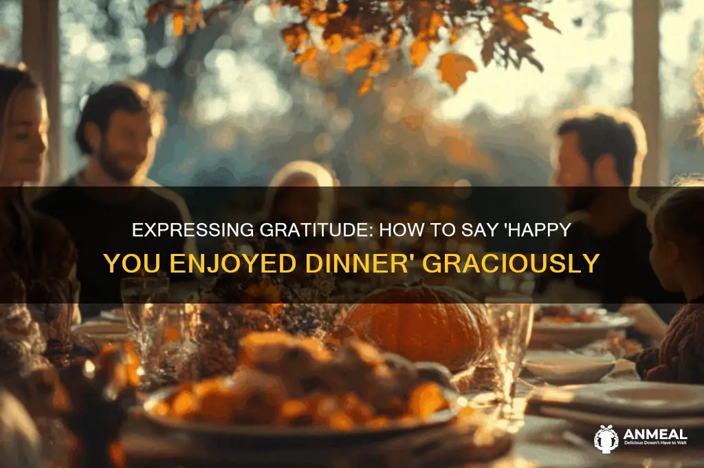 how to say happy you enjoyed dinner