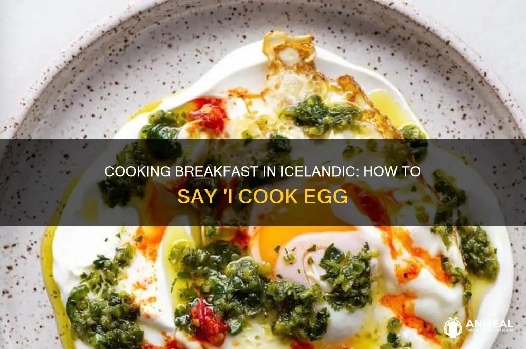 how to say i cook egg for breakfast in icelandic