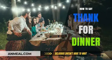 Grateful Gestures: Expressing Sincere Thanks After a Delicious Dinner