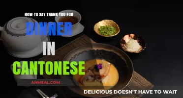 Expressing Gratitude in Cantonese: How to Say Thank You for Dinner