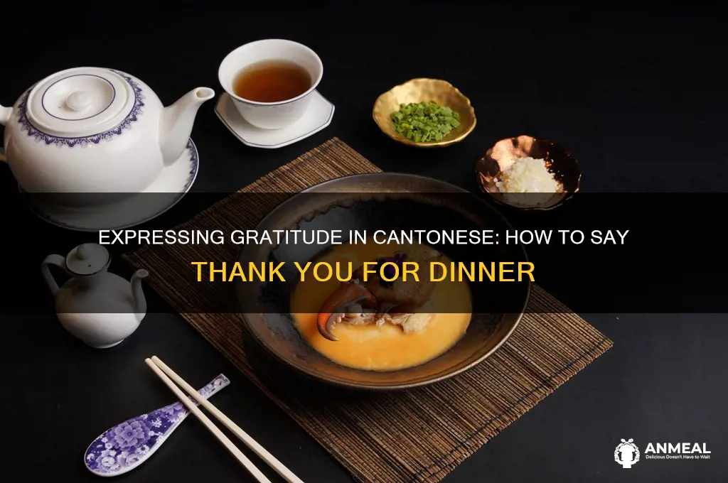 how to say thank you for dinner in cantonese