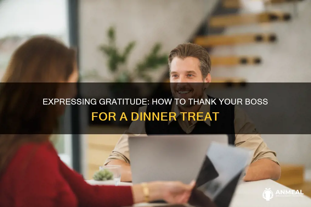 how to say thank you to boss for dinner