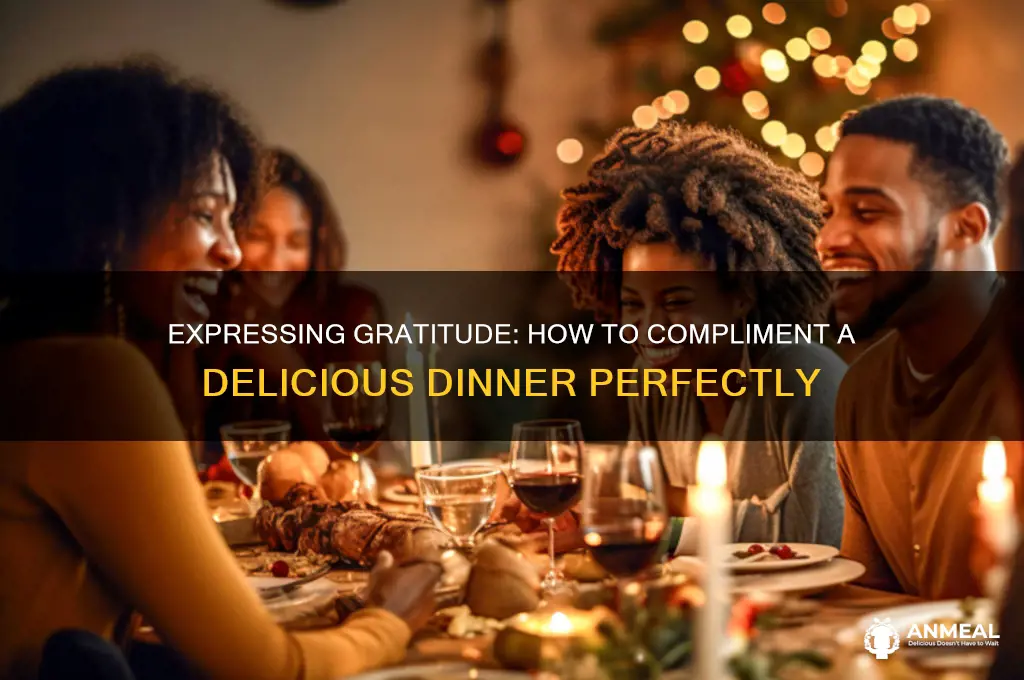 how to say the dinner was delicious