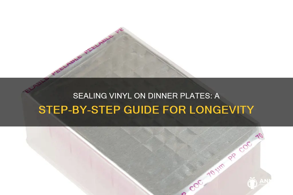 how to seal vinyl on dinner plates