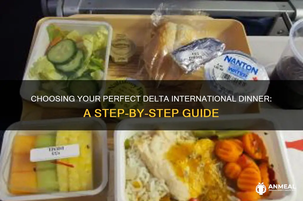 how to select dinner on delta international