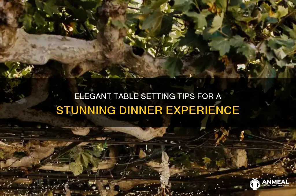 how to set a beautiful dinner table