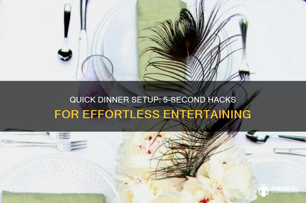 how to set a dinner in 5 seconds