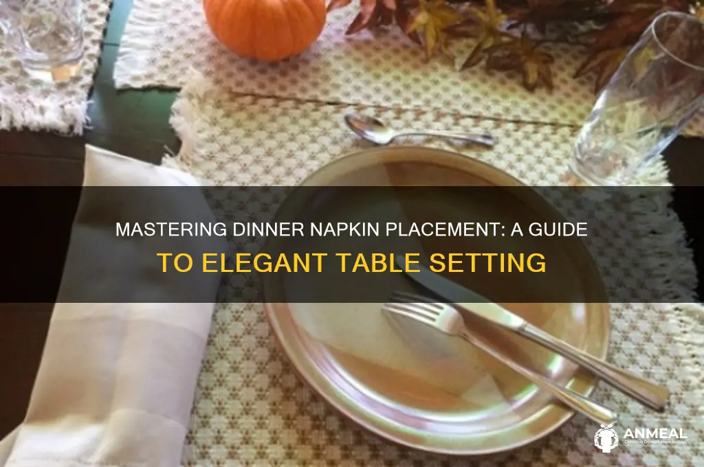 how to set a table for dinner napkin placement