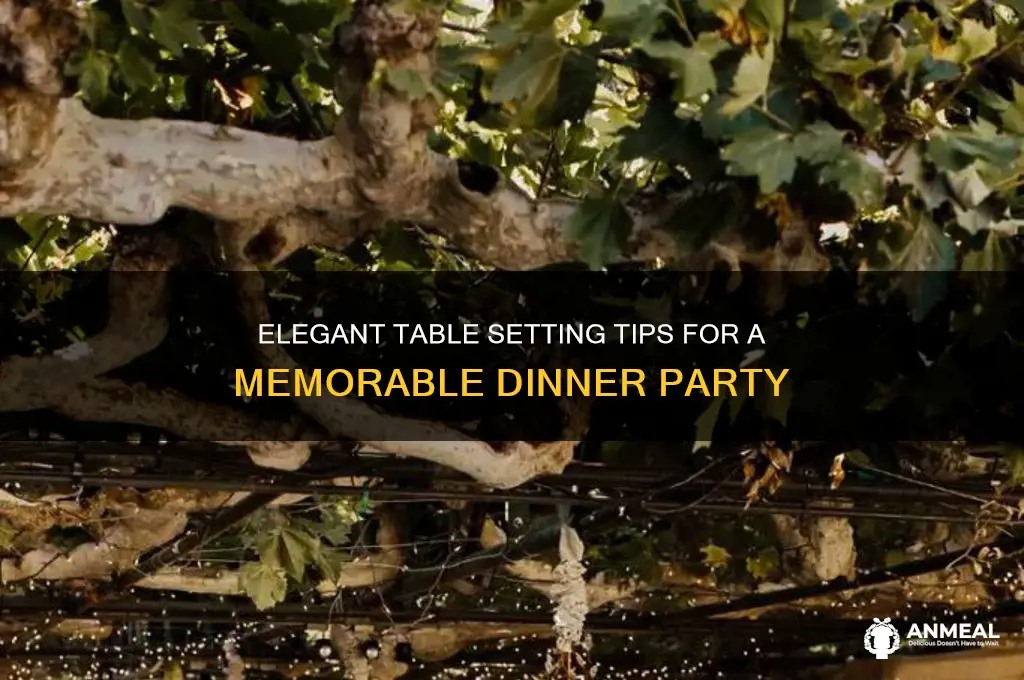 how to set an elegant table for a dinner party