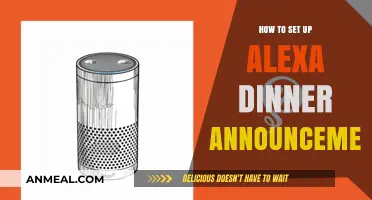 Alexa Dinner Announcements: A Step-by-Step Setup Guide for Busy Families
